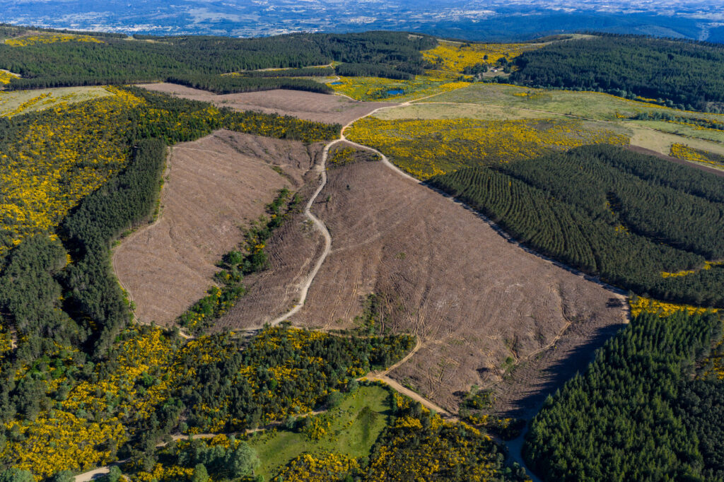 Carlos Serra Livestock farm in the Greater Côa Valley