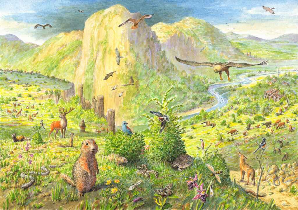 Artist vision of the Rhodope Mountains.