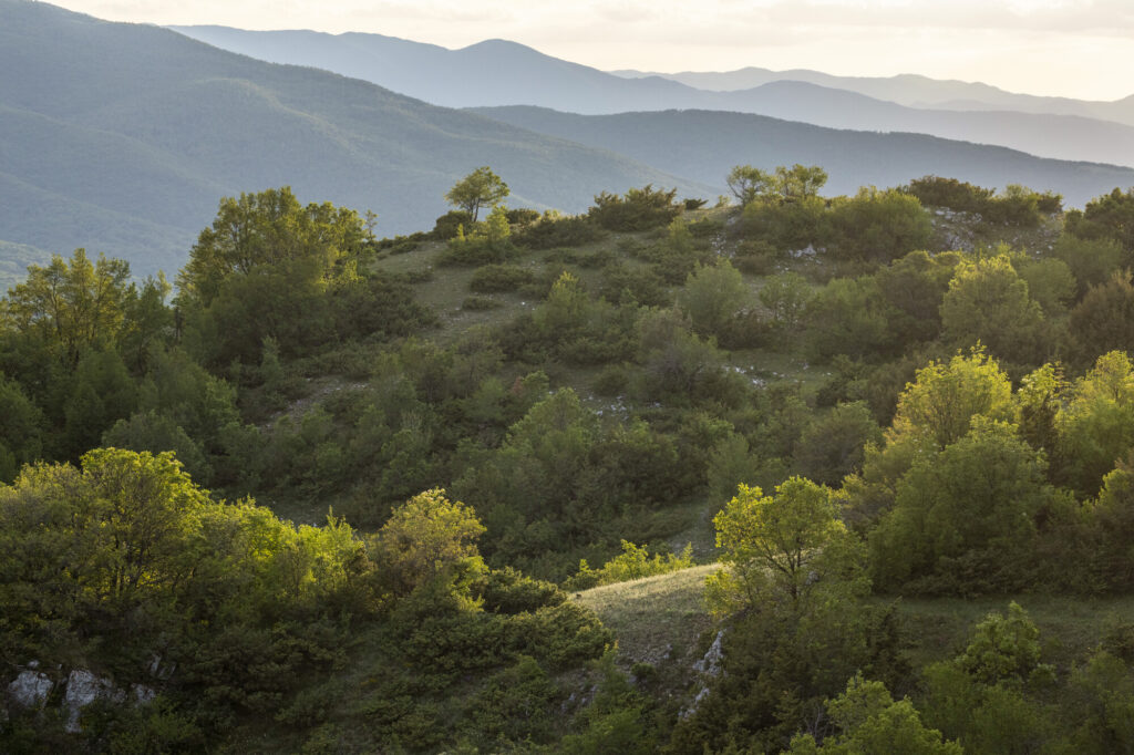 Vegetation and scenery in corridor area between Abruzzo, Lazio and Molise National Park and Majella National Park. Central Apennines, Italy. 2020