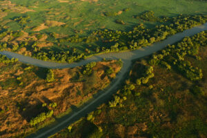 Aerials over the Danube delta, Danube delta rewilding area, Romania