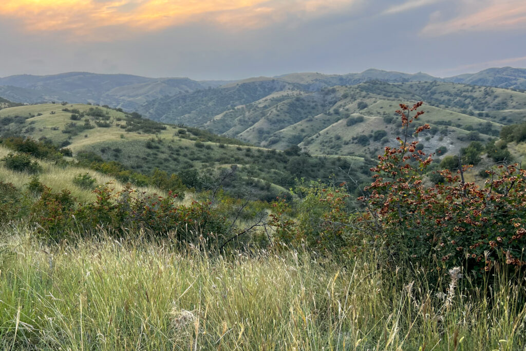 Vashlovani national park, mountain landscape