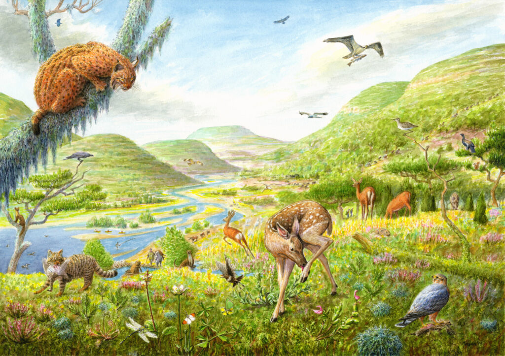 Artist vision of the Affric Highlands.