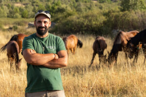 Herd manager, Rafael Vigil Bueno, standing in front of serrano horses in the Iberian Highlands rewilding landscape, Spain.