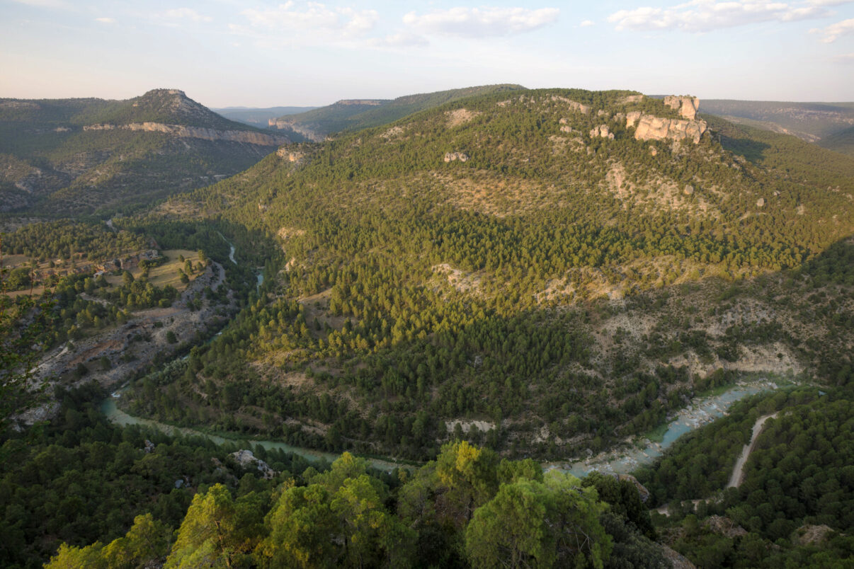 The River Tagus winds its way through Alto Tajo Natural Park.
