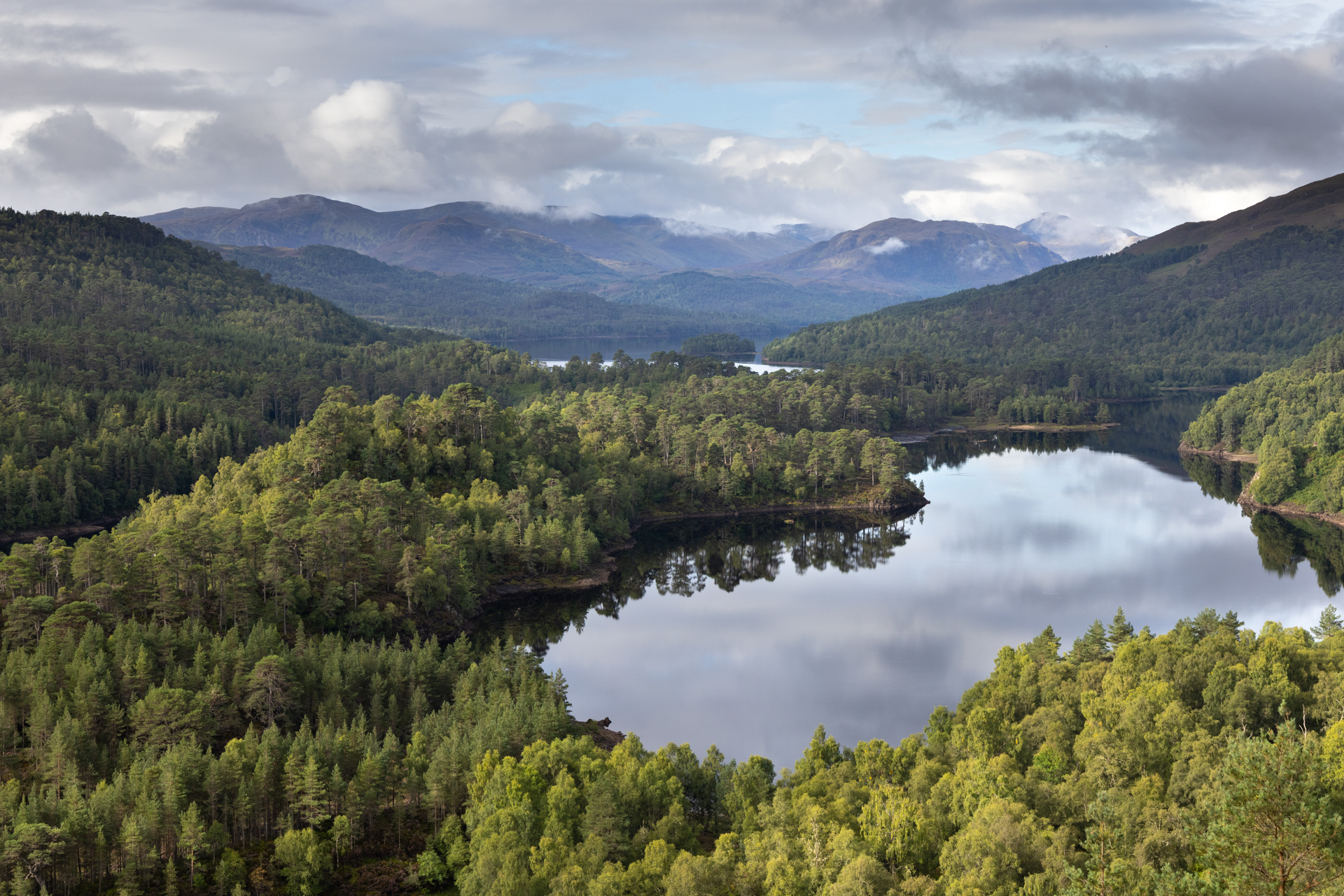 The Caledonian Forest of Glen Affric surrounding Loch Beinn a Mheadhoin, Affric Highlands.