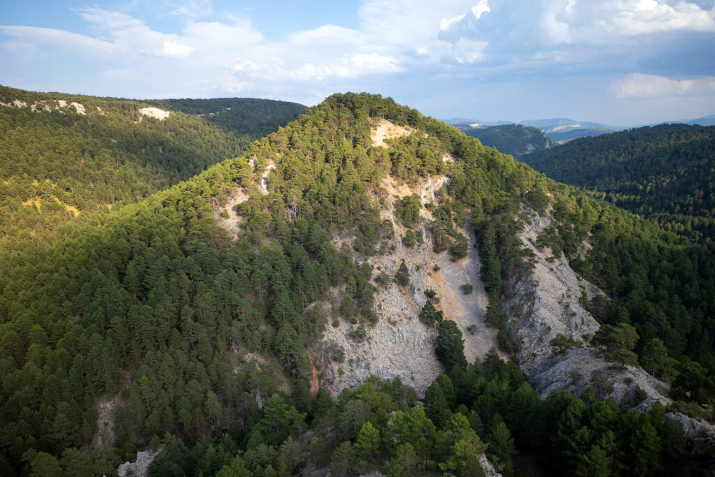 Pine woodland covering the hillsides of Cañada de las Pegueras, Iberian Highlands.