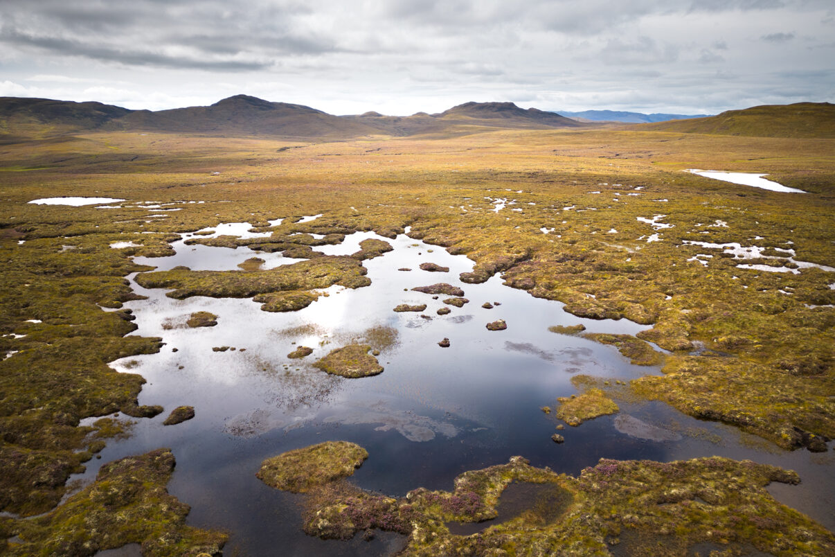 Boggy pools storing water on peatland. Dundreggan, Affric Highlands.