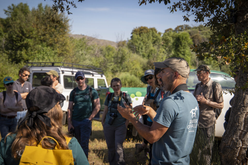 ERN members field visit to Ermo das Águias rewilding site in the Greater Côa Valley landscape during the ERN-EYR Natural Grazing event.
