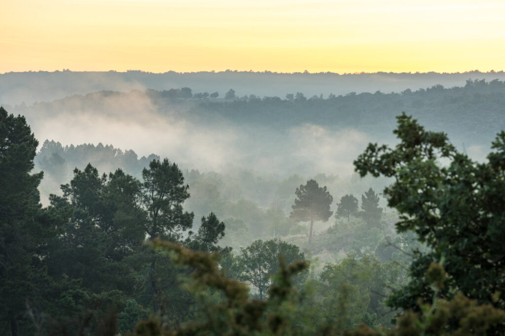 Vale Carapito & surroundings