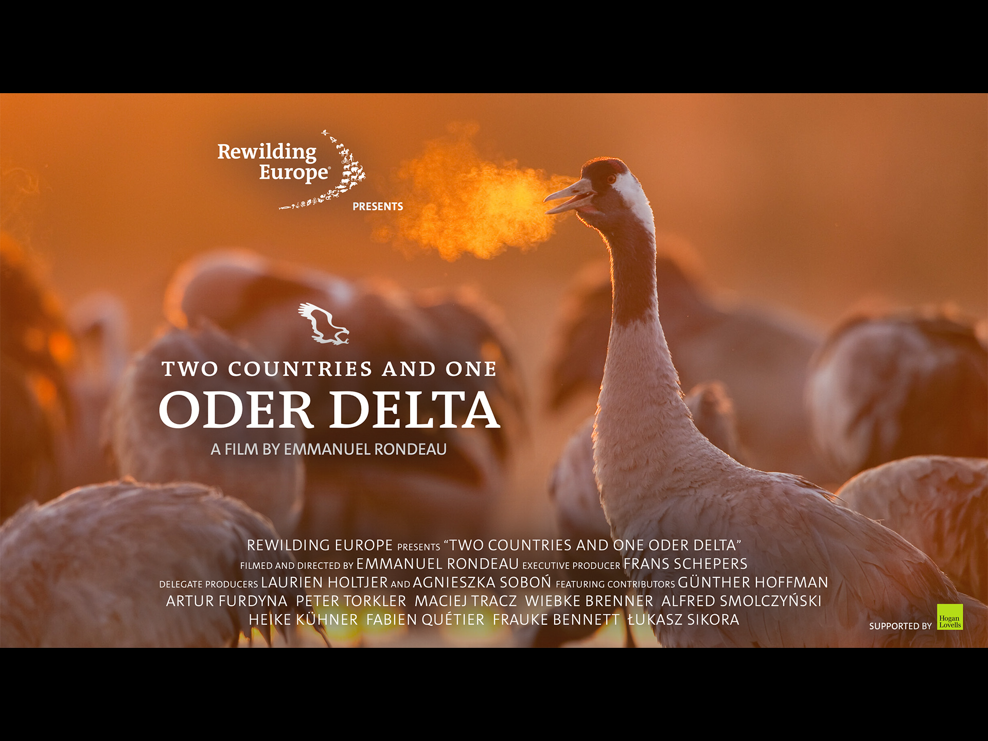 Two countries one Oder Delta