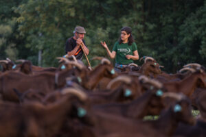 First lifestock owner certified to leave carcasses out in the field for circle of life vulture feeding.