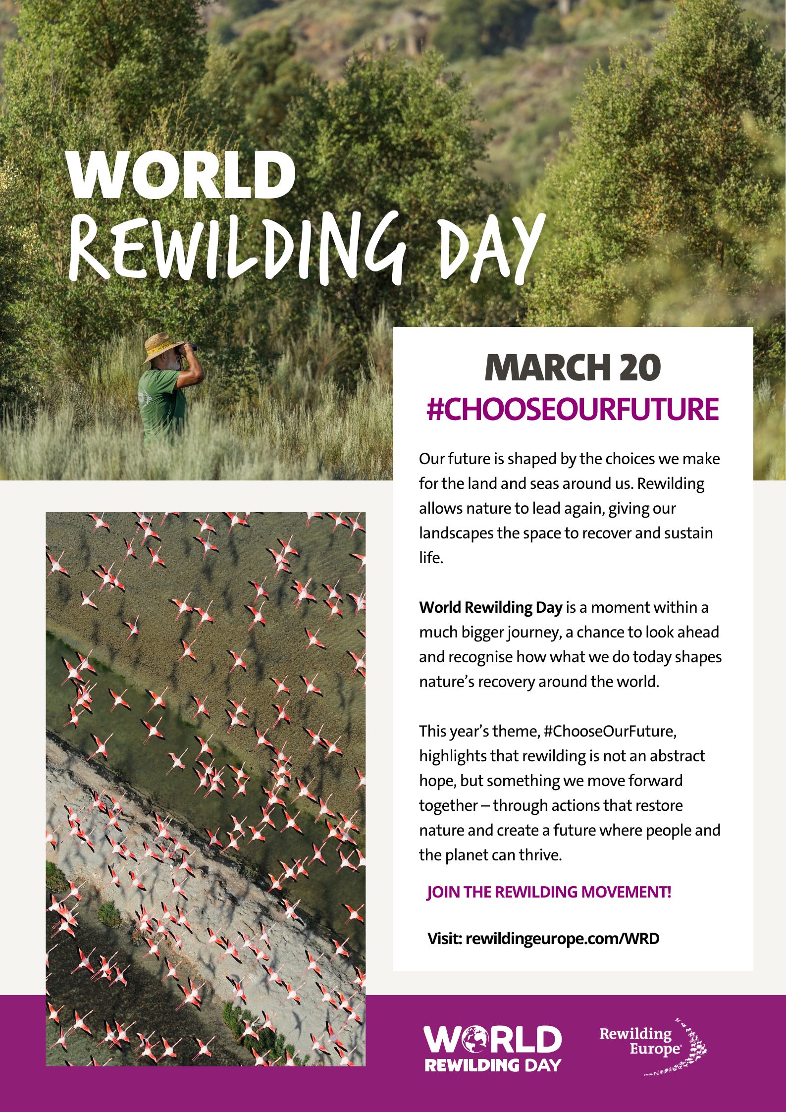 World Rewilding Day 2026 poster - #ChooseOurFuture