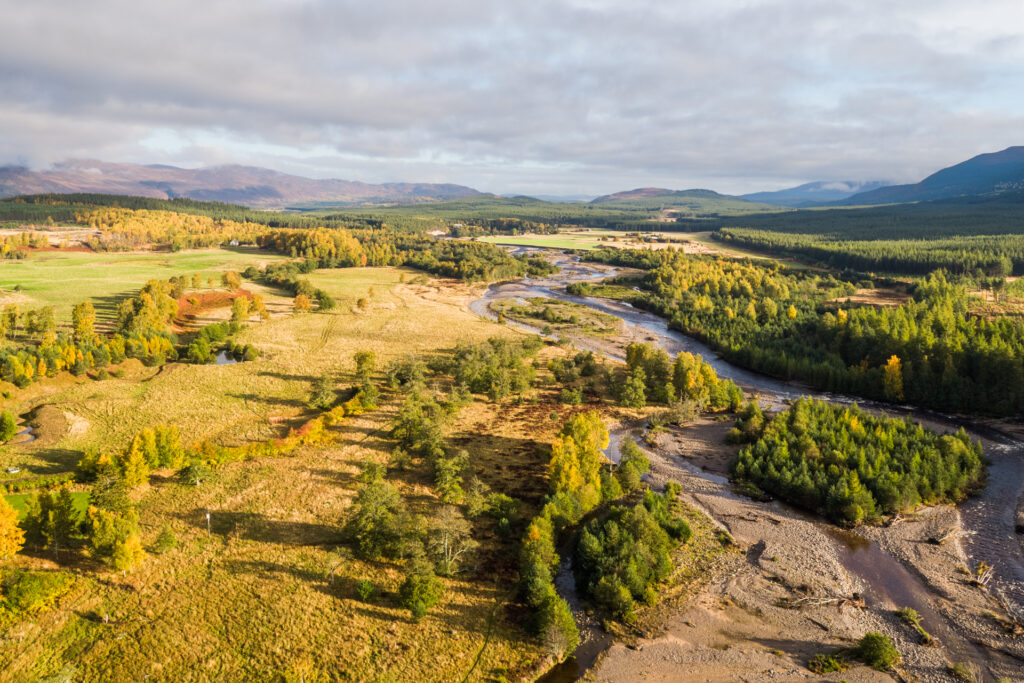 Mixed habitats of woodland, meadow & river at Northwoods Rewilding Network partner, Ballintean.