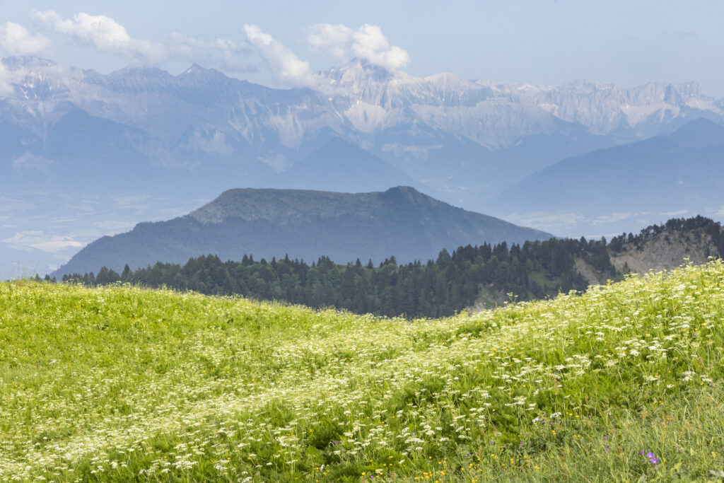 Mountain scenery from Grand Veymont in the Dauphiné Alps rewilding landscape, France.