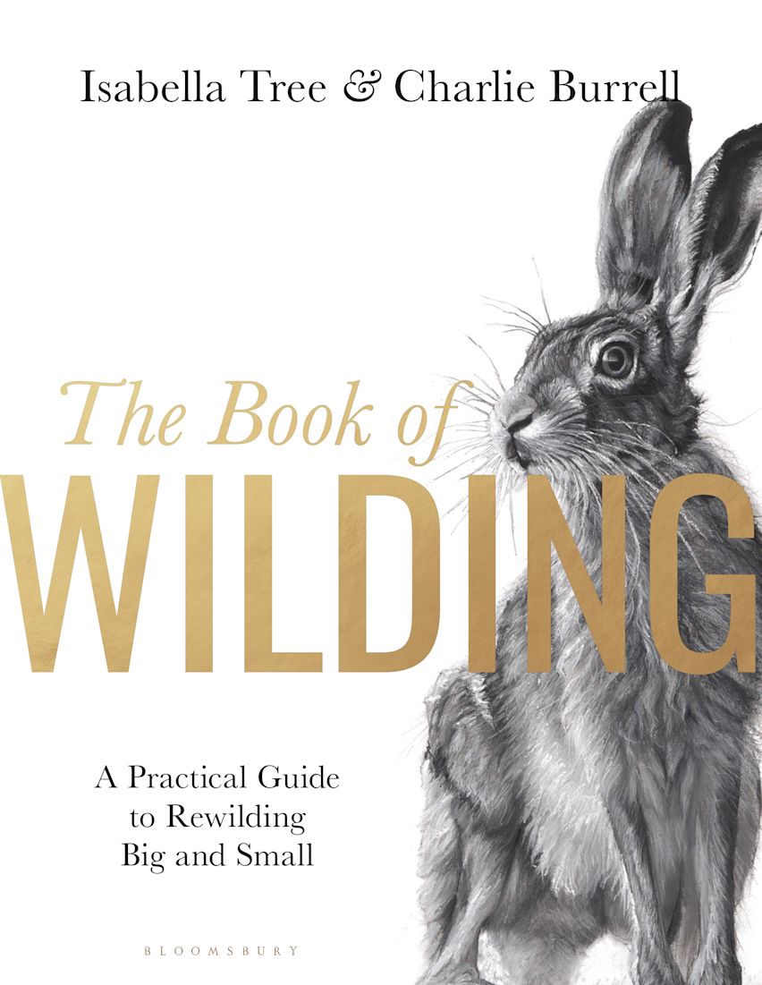 The book of Wilding