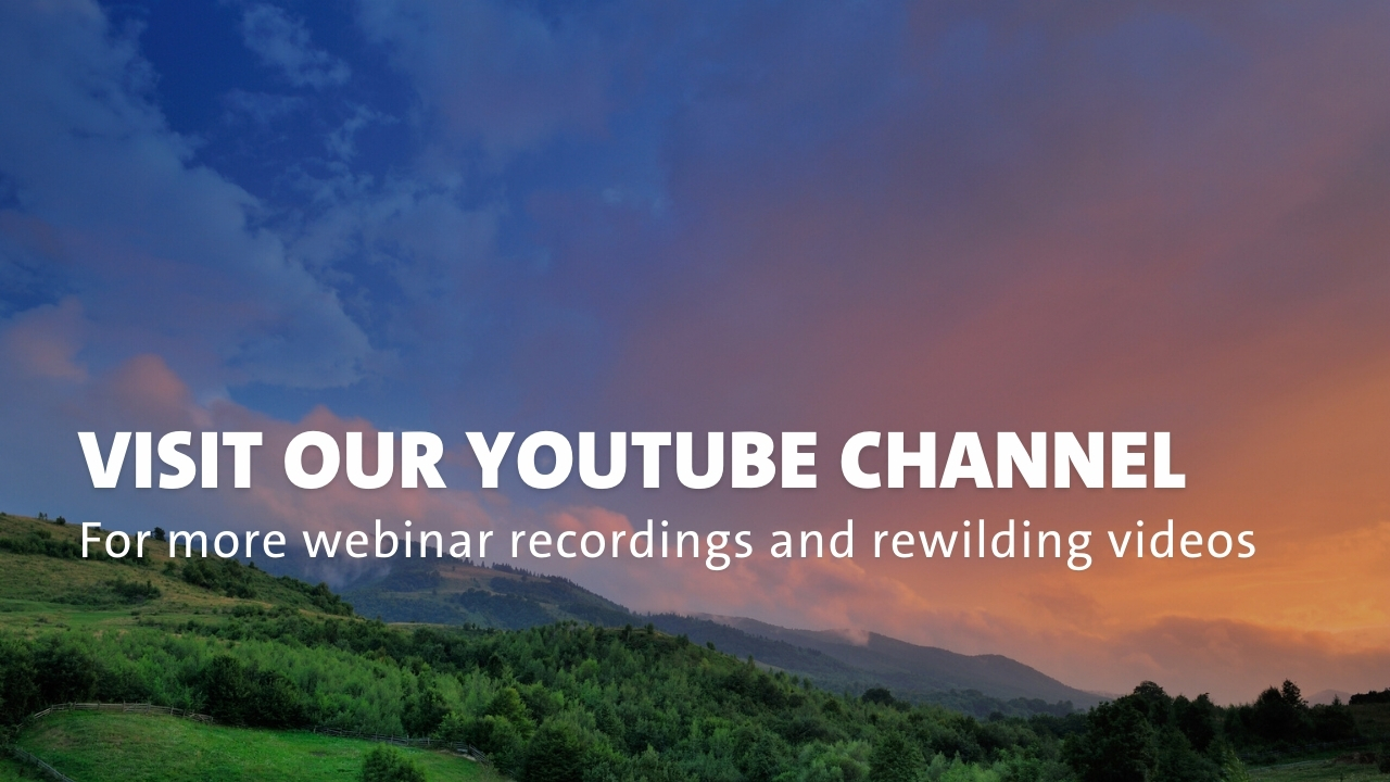 Visit our YouTube channel