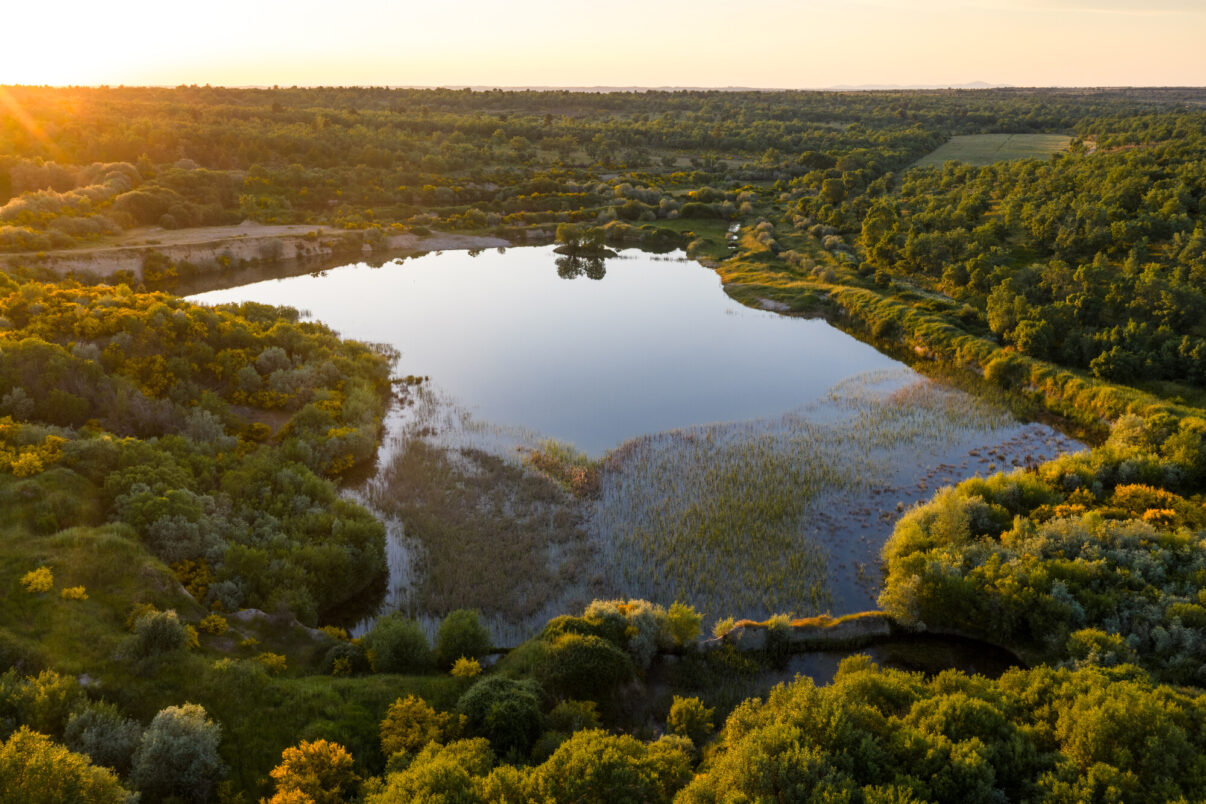 Old mining site transformed into wetland - Paul de Toirões in the Greater Côa Valley