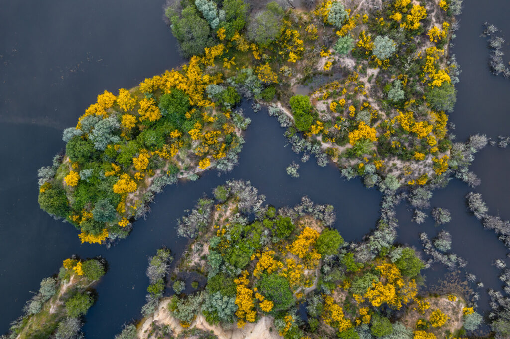 Paul de Toirões wetland captured by a drone.