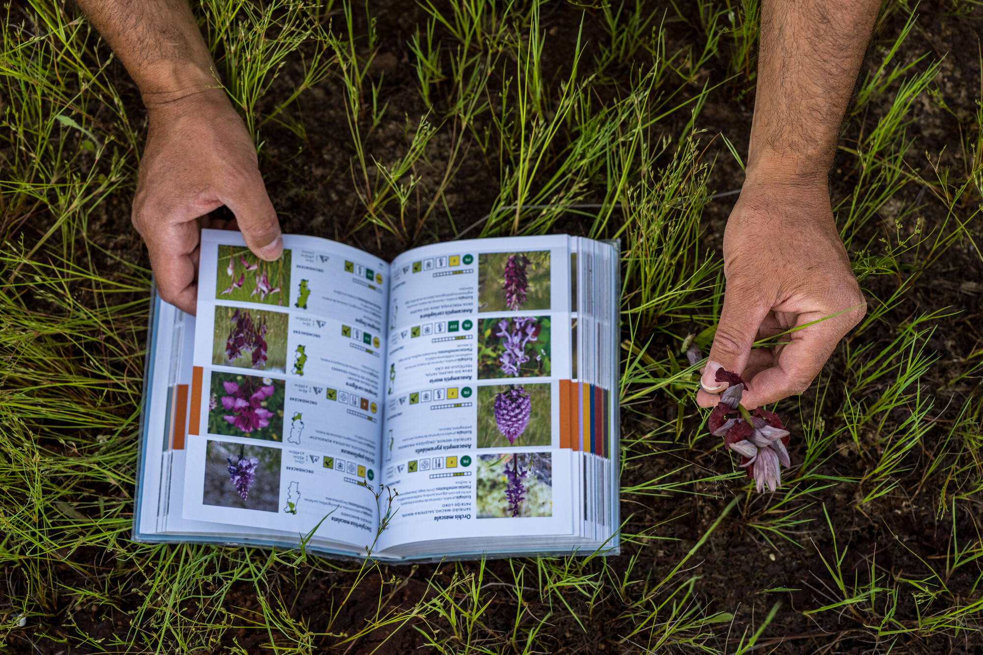 Tourism at Paul de Toirões