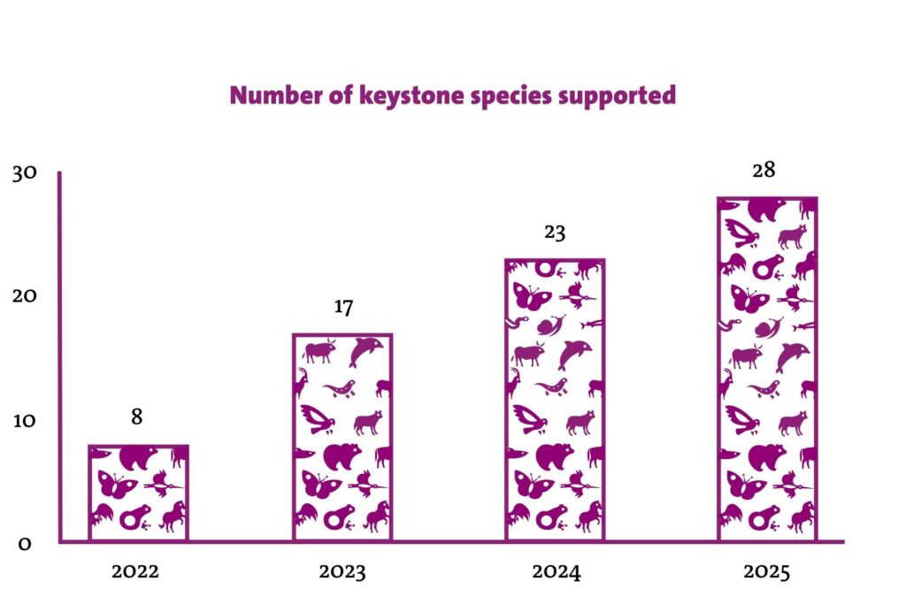 EWCF graph 2022-2025