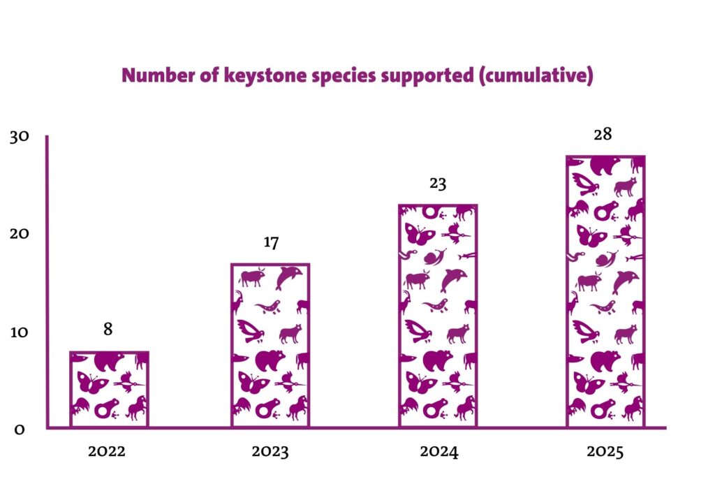 EWCF graph 2022-2025