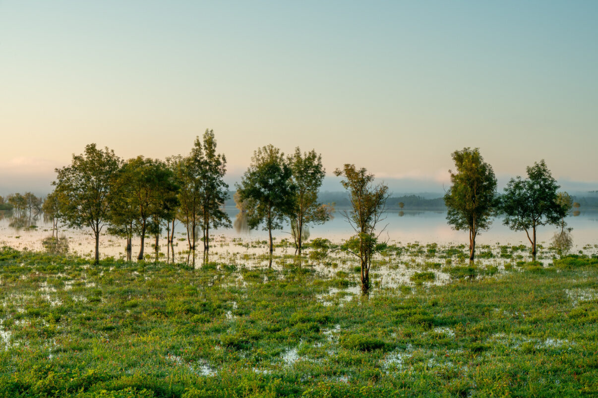 Flooded meadows in Lonjsko Polje Natural Park, Croatia.