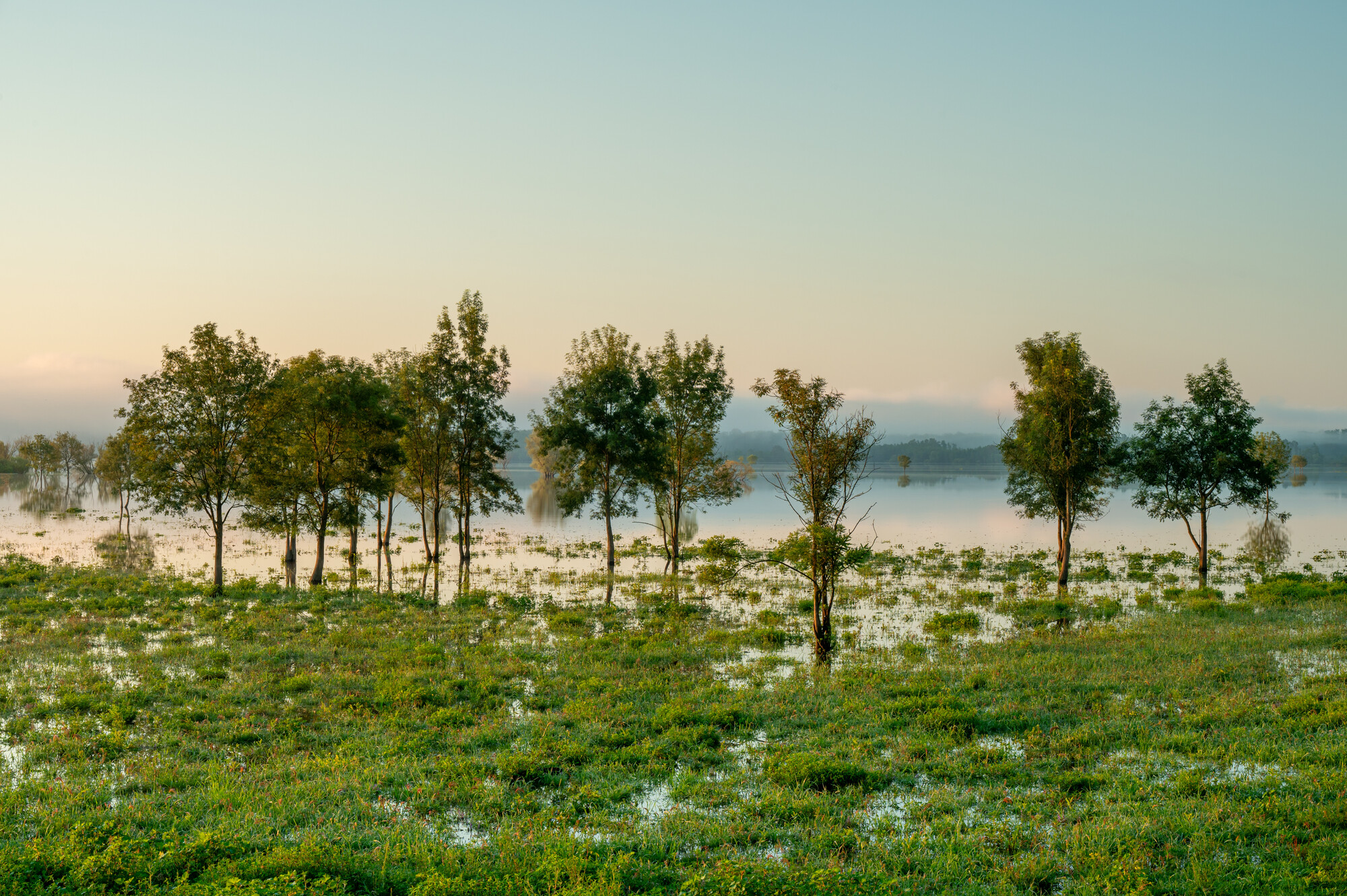 Protected: Three protected areas join European Rewilding Network