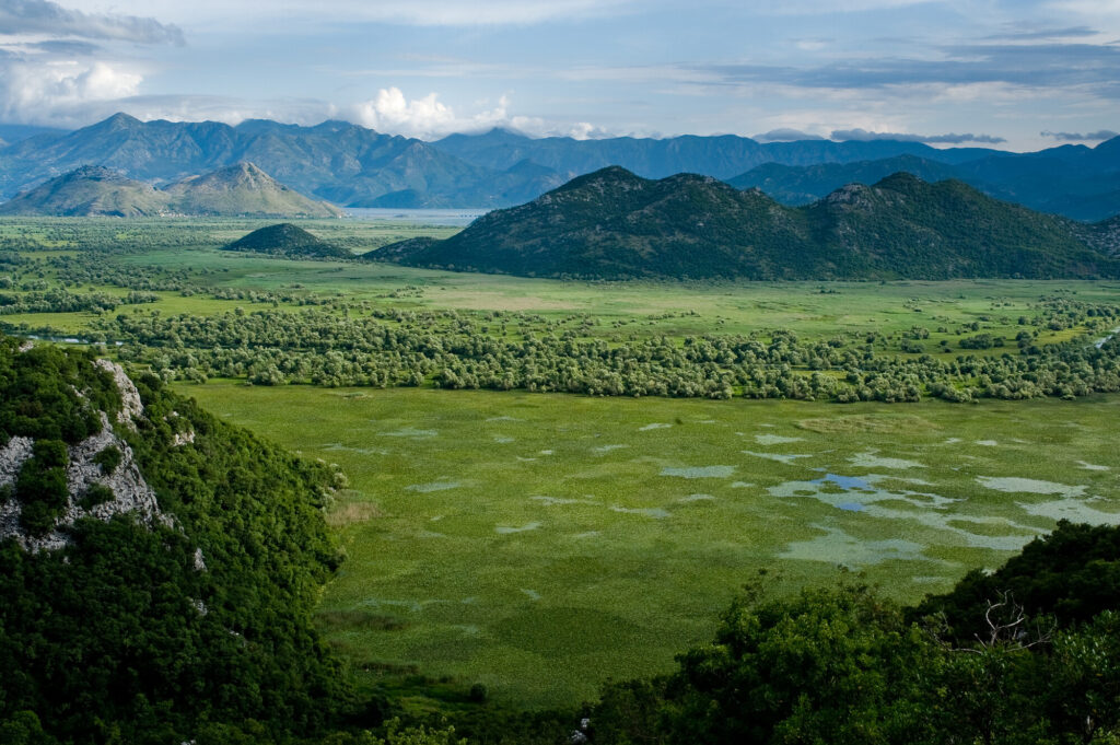 Flooded area of Lake Skadar, landscape from Dodjosi village, Lake Skadar National Park, Montenegro