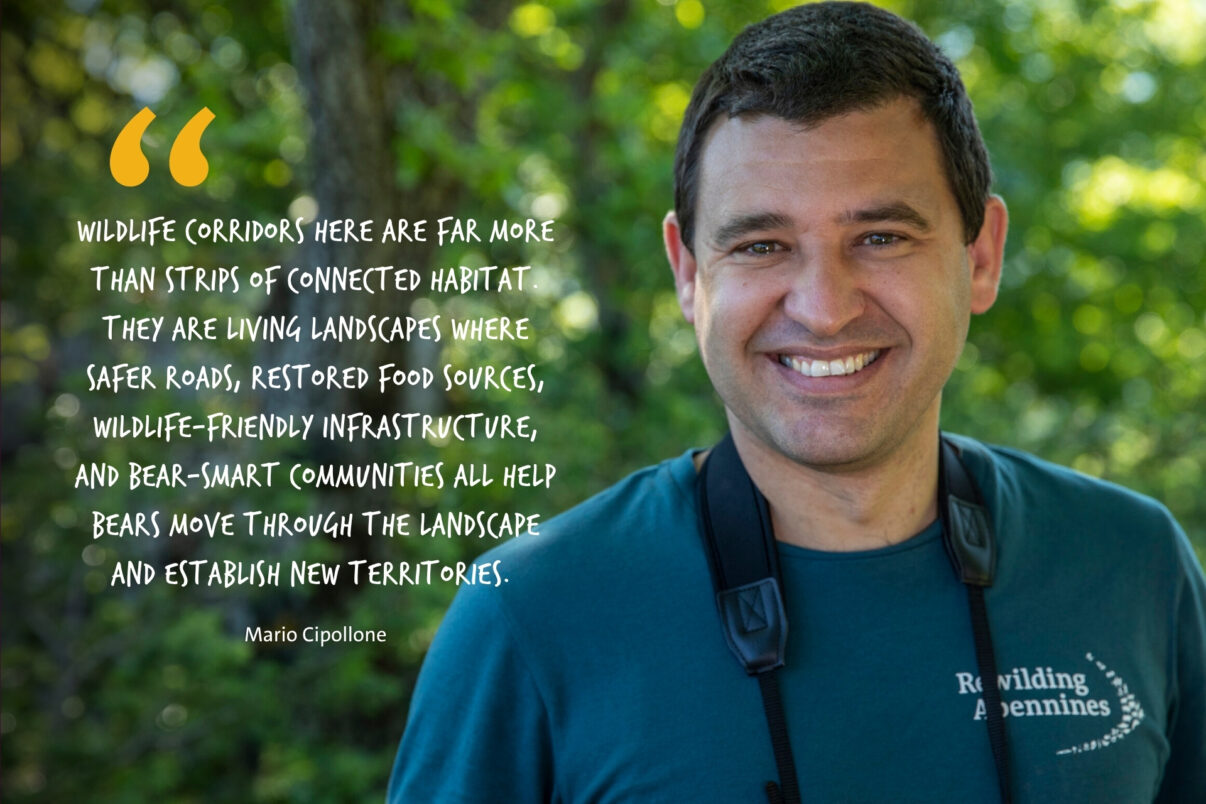 Wildlife Corridors Quote - Mario Cipollone