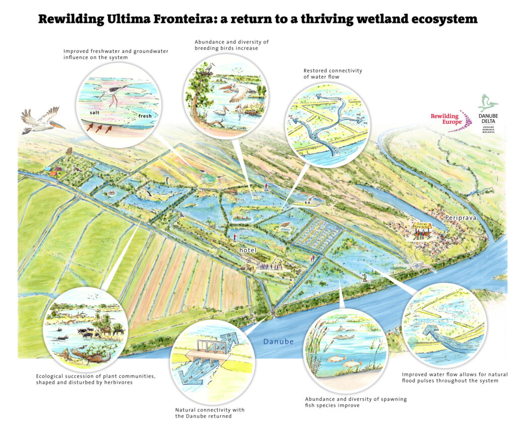 Ultima Frontiera Infographic