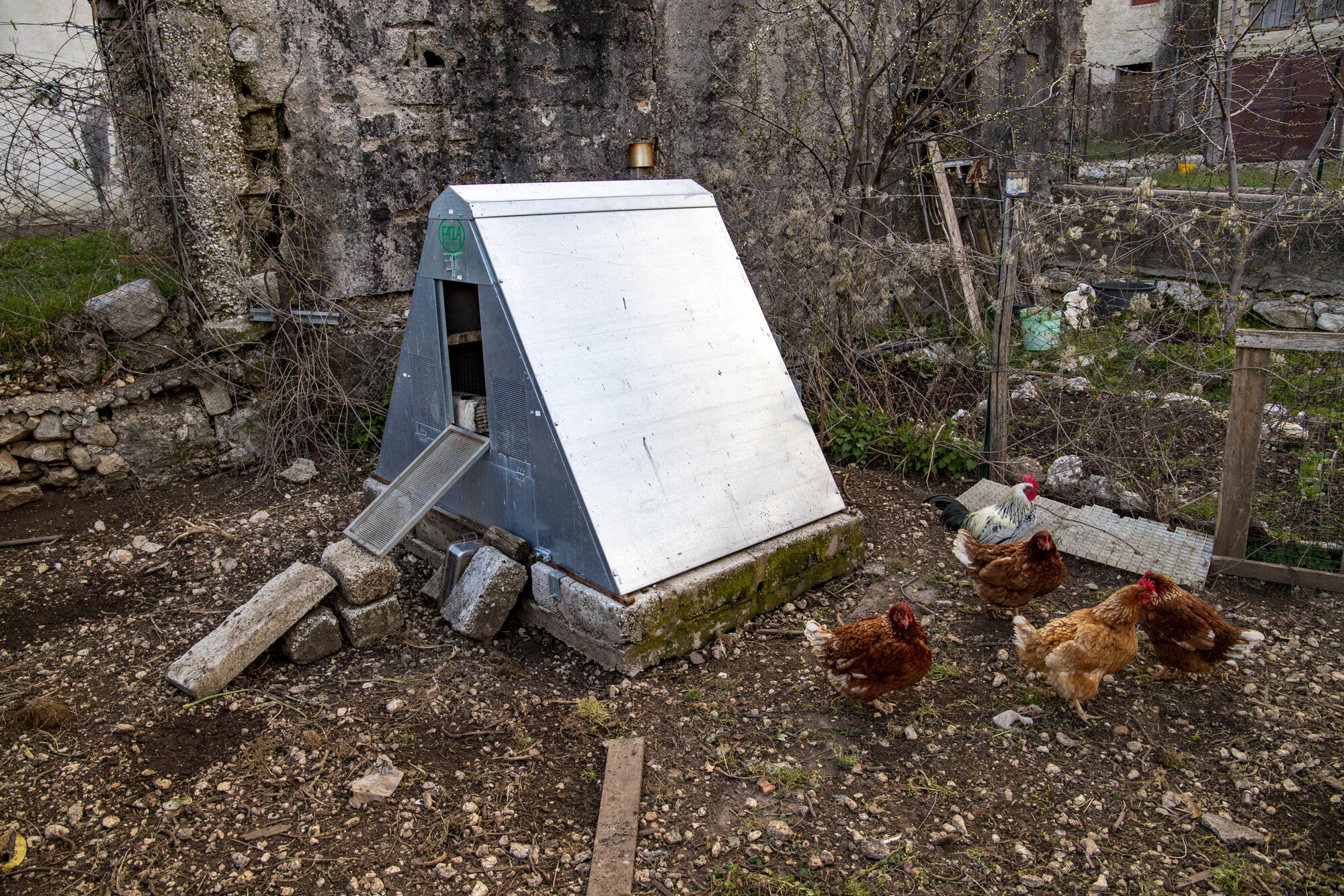 Bear-proof chicken coop, employed within LIFE Bear-Smart Corrirdors. Their design guarantees protection from bear intrusion.