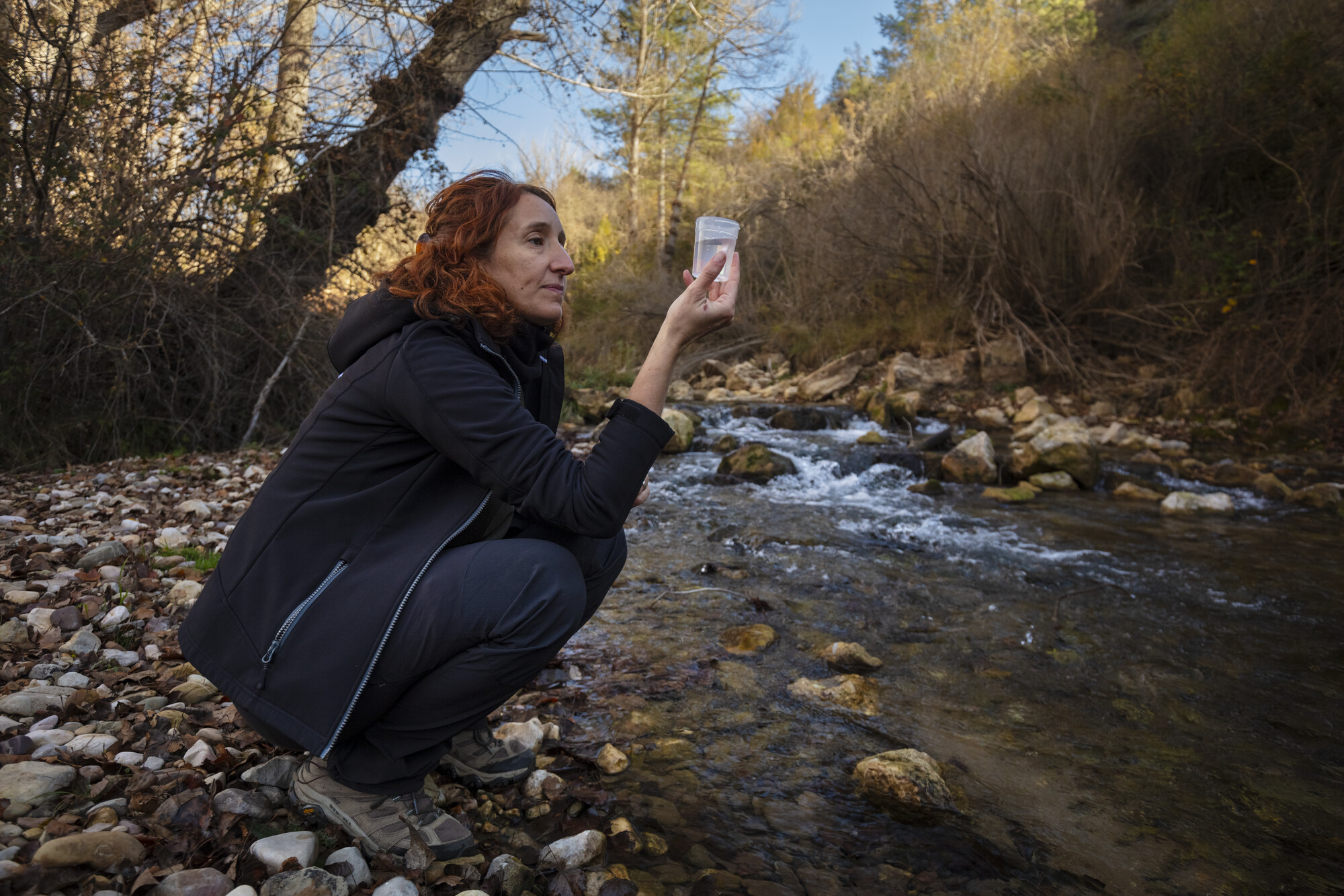 Collecting water samples for eDNA analysis at a dam removal site in the Iberian Highlands.