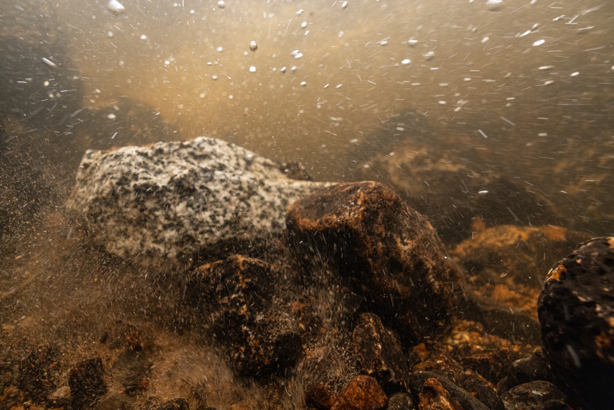 return of natural processes after restoration
