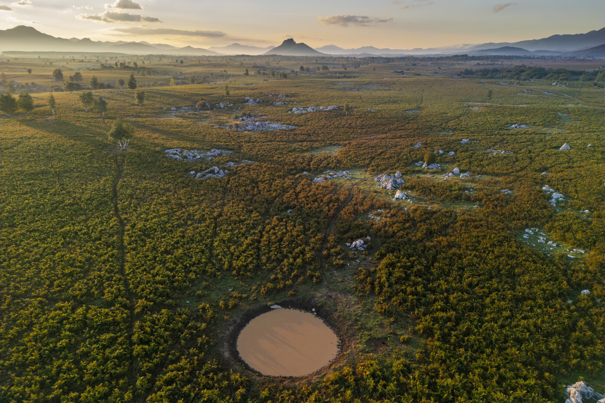 Watering hole on the Lika Plains, Croatia.