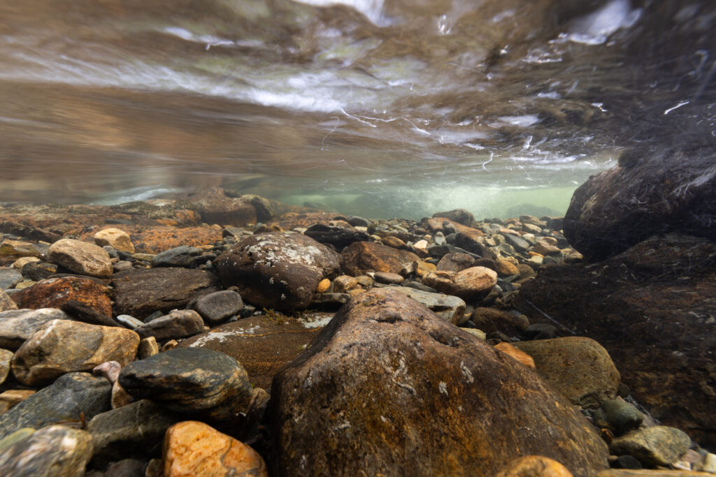 Underwater image of riverbed, Miellejohka river Swedish Lapland.
