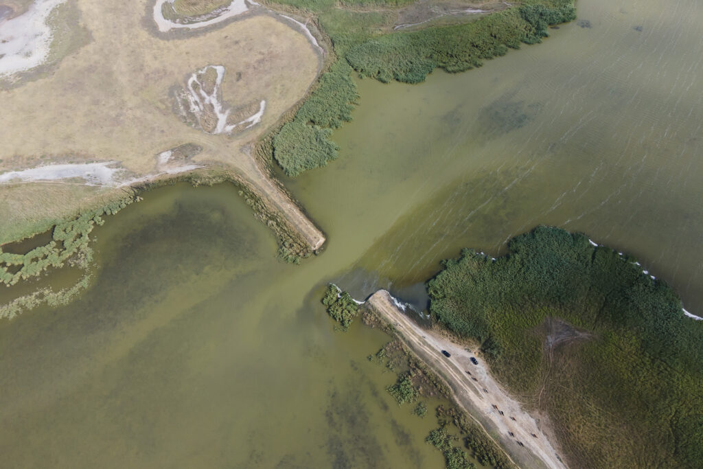 Aerial view on rivers after the removal of dams and obstacles by Rewilding Ukraine team. Sarata, Kagach and Kogilnik rivers, Tatarbunary raion, Odessa oblast, Ukraine.